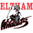  艾特姆野猫logo