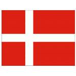  丹麦logo