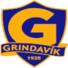  格林达维克logo