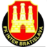  国际巴迪斯拉华logo