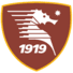  萨勒尼塔纳logo