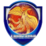  上海盛丽女足B队logo