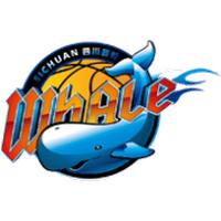  四川丰谷酒业logo