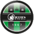  斯基腾logo